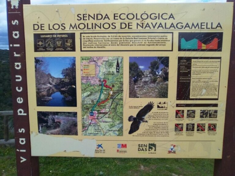 Navalagamella 5º y 6º E.P.
